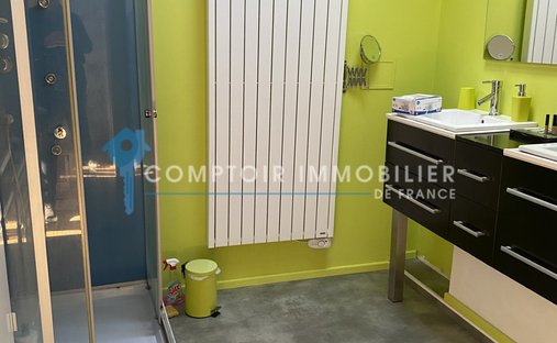 Magnificent Renaissance Style Château With 9ha Land, 2 Gîtes And Pool, 30 Minutes From Toulouse