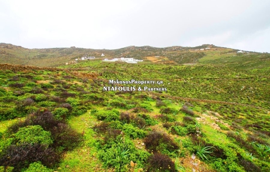Ano Mera Community, Aegean, Greece 3 - 13704519