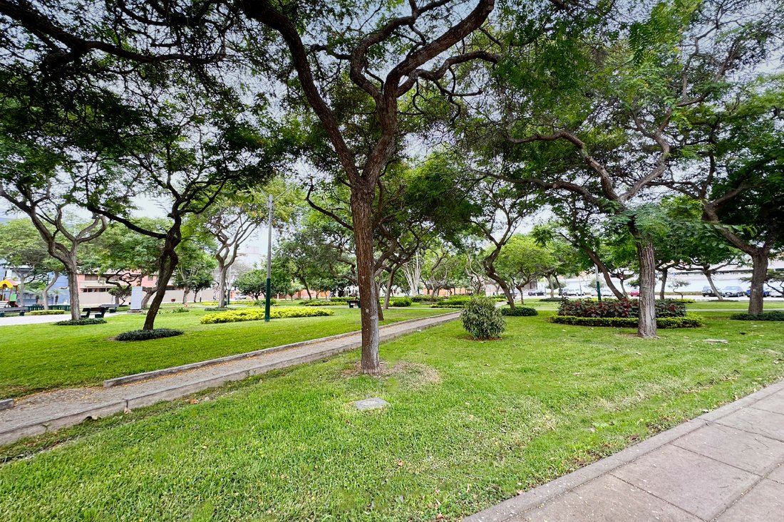 Land in Santiago de Surco, Metropolitan Municipality of Lima, Peru 2 - 13704452