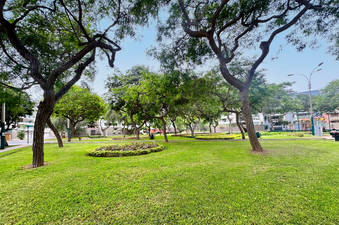 Land in Santiago de Surco, Metropolitan Municipality of Lima, Peru 1 - 13704452