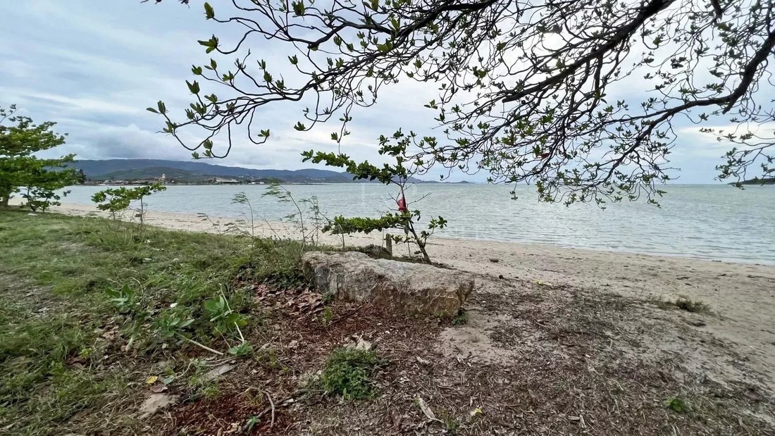 Land in Koh Samui, Surat Thani, Thailand 2 - 13082011