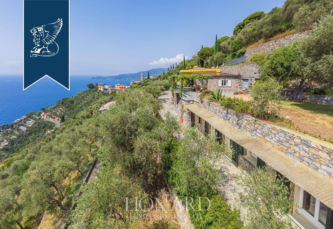 Villa in Zoagli, Liguria, Italy 5 - 13703360