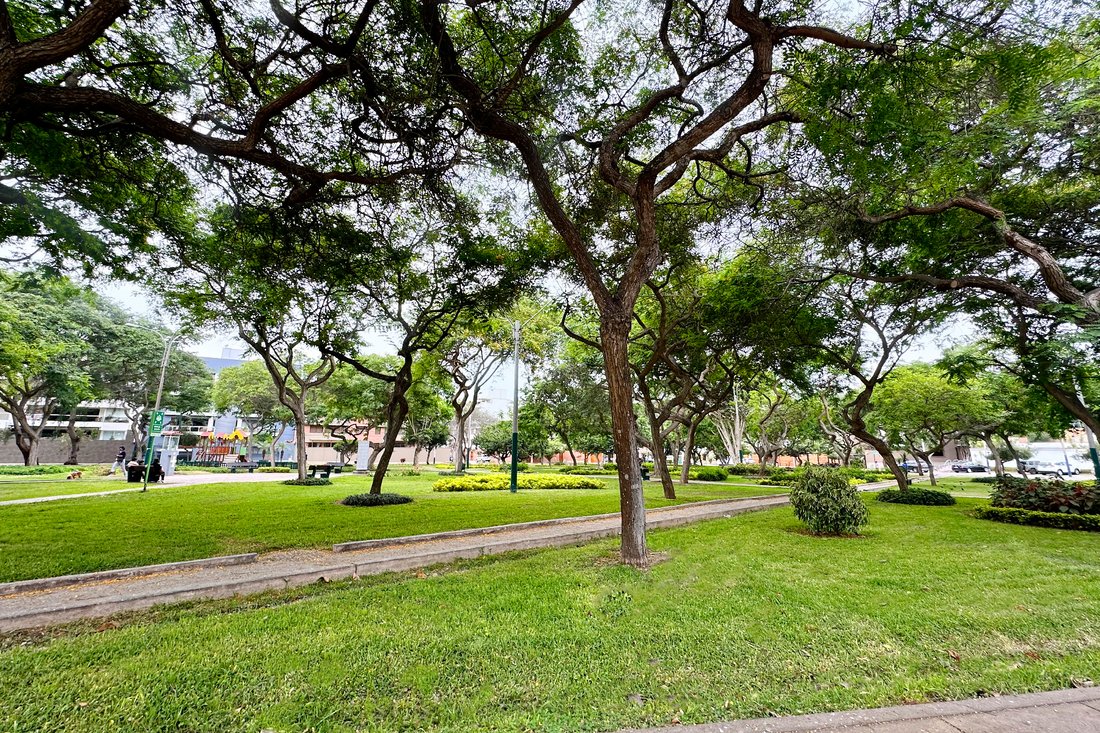 Land in Santiago de Surco, Metropolitan Municipality of Lima, Peru 3 - 13704452
