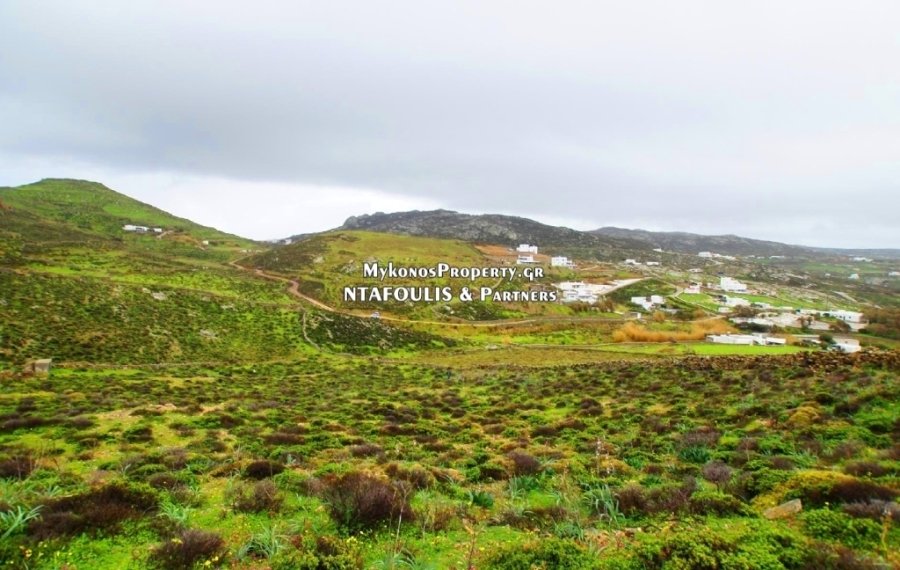 Ano Mera Community, Aegean, Greece 4 - 13704519