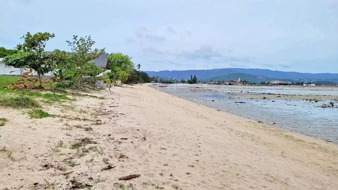Land in Koh Samui, Surat Thani, Thailand 5 - 13082011