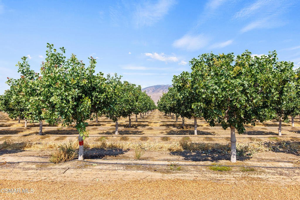 Vacant Land In Arvin, California, United States For Sale (13708750)