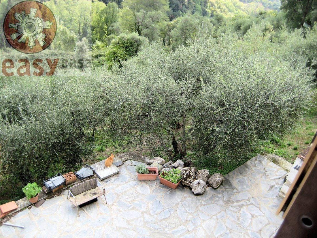 Country House in Camaiore, Tuscany, Italy 3 - 13710930