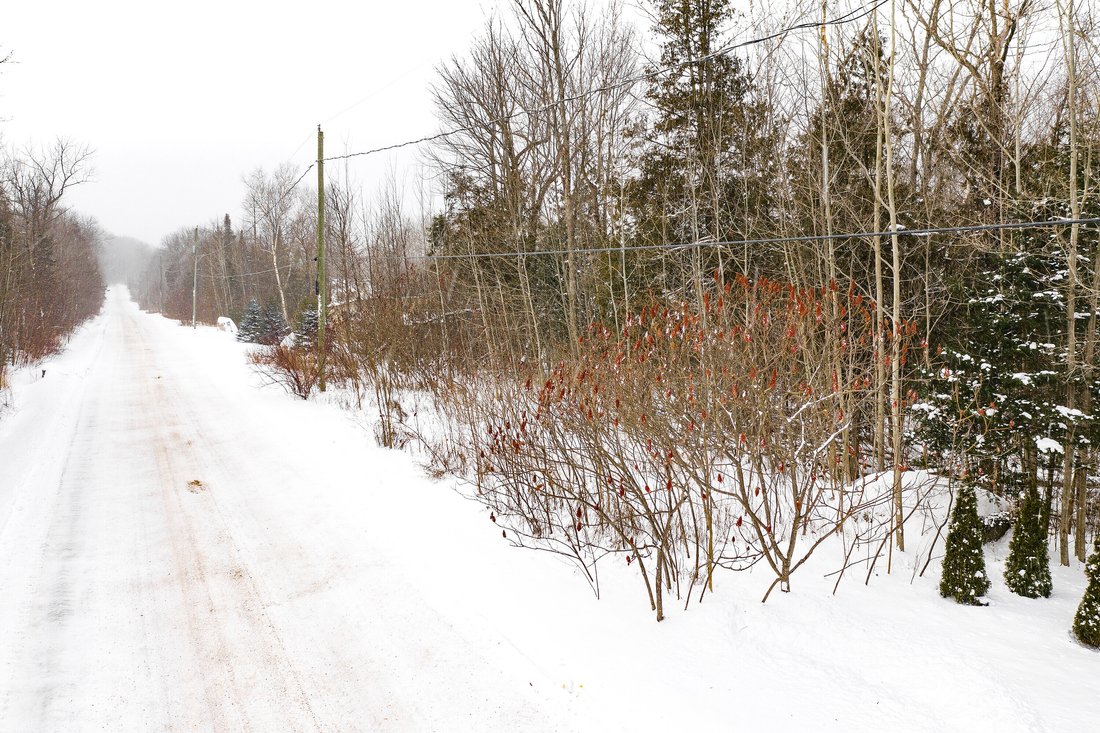 Breathtaking Views Of The Bay In Meaford, Ontario, Canada For Sale