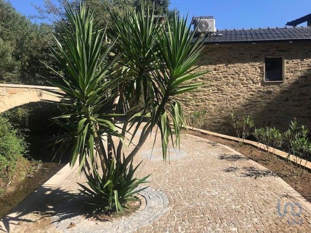 Santa Maria Da Feira Farm In Santa Maria Da Feira, Aveiro District
