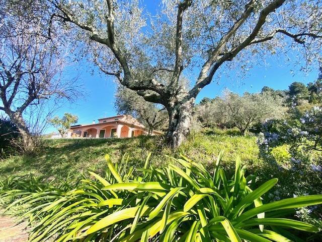 Villa in Olmo - Santa Caterina - Falcinello, Sarzana, Liguria 3 - 13714797
