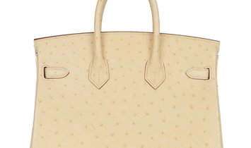 Hermès Birkin 25 Vanille Ostrich Boreal Gold Hardware