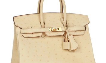 Hermès Birkin 25 Vanille Ostrich Boreal Gold Hardware
