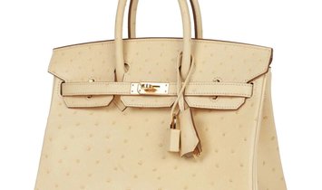 Hermès Birkin 25 Vanille Ostrich Boreal Gold Hardware