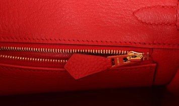 Hermès Birkin 25 Rouge de Coeur Togo Gold Hardware
