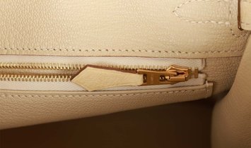 Hermès Birkin 25 Vanille Ostrich Boreal Gold Hardware