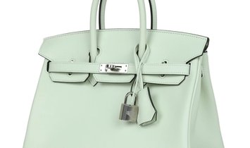 Hermès Birkin 25 Vert Fizz Swift Palladium Hardware