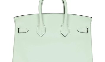 Hermès Birkin 25 Vert Fizz Swift Palladium Hardware