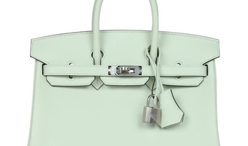 Hermès Birkin 25 Vert Fizz Swift Palladium Hardware