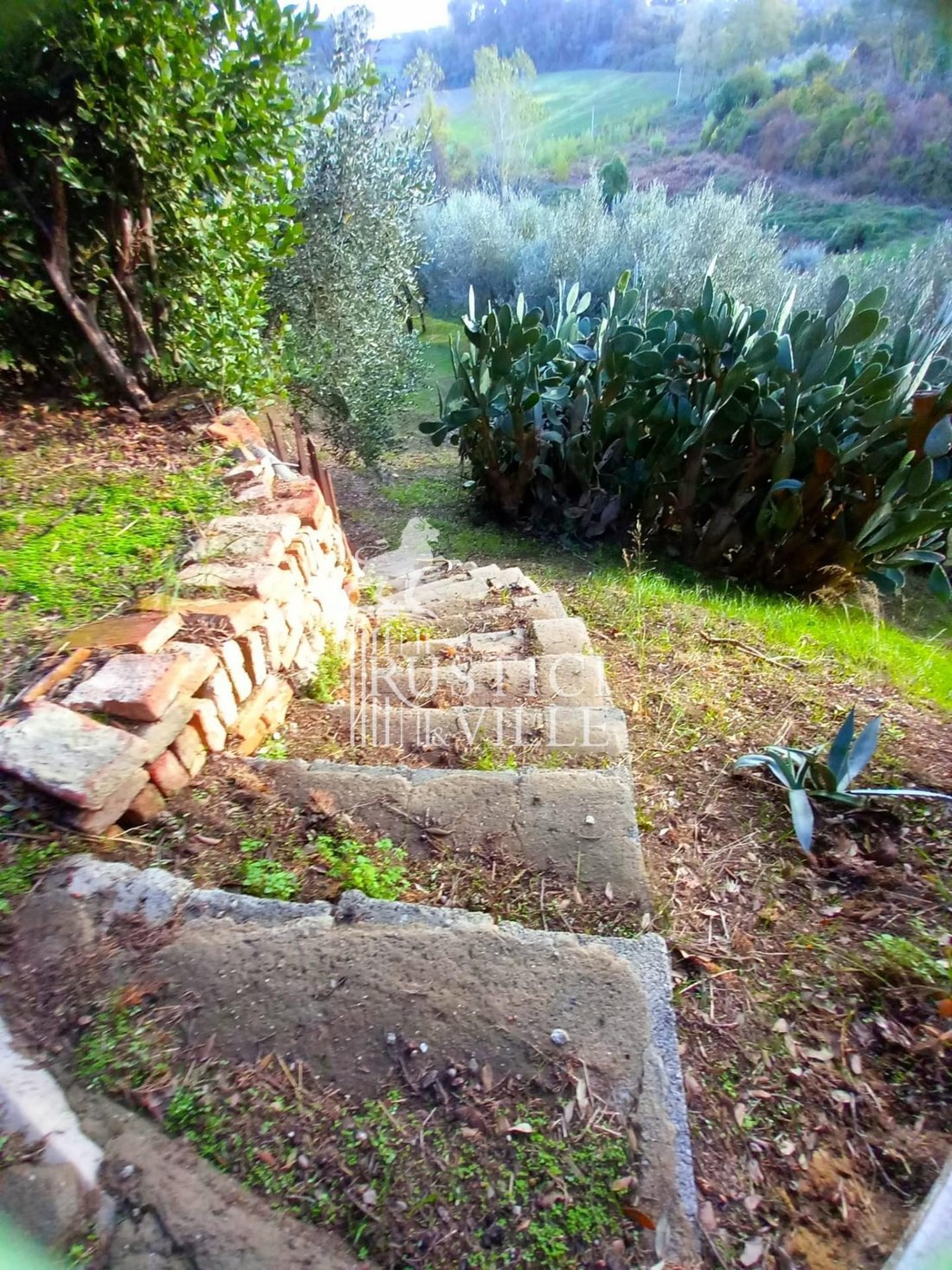 Altro a Casciana Alta, Toscana, Italia 4 - 13722678