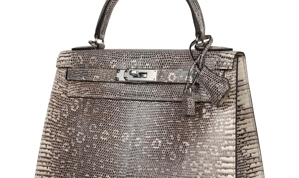 Hermès Kelly Sellier 28 Ombre Varanus Salvator Lizard Palladium Hardware