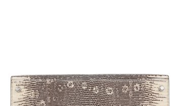Hermès Kelly Sellier 28 Ombre Varanus Salvator Lizard Palladium Hardware