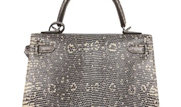 Hermès Kelly Sellier 25 Ombre Varanus Salvator Lizard Palladium Hardware