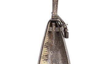 Hermès Kelly Sellier 25 Ombre Varanus Salvator Lizard Palladium Hardware