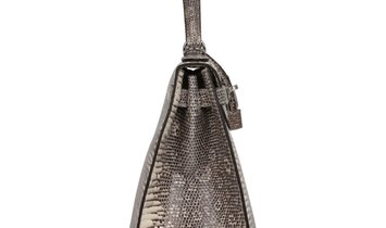Hermès Kelly Sellier 28 Ombre Varanus Salvator Lizard Palladium Hardware