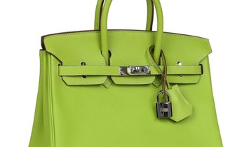 Pre-owned Hermès Birkin 25 Kiwi Candy Epsom Palladium Hardware