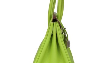 Pre-owned Hermès Birkin 25 Kiwi Candy Epsom Palladium Hardware