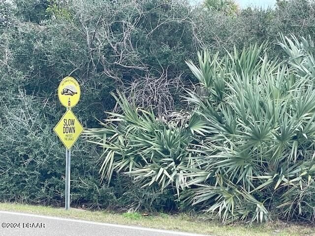 Land in Ponce Inlet, FL, United States 4 - 13729528