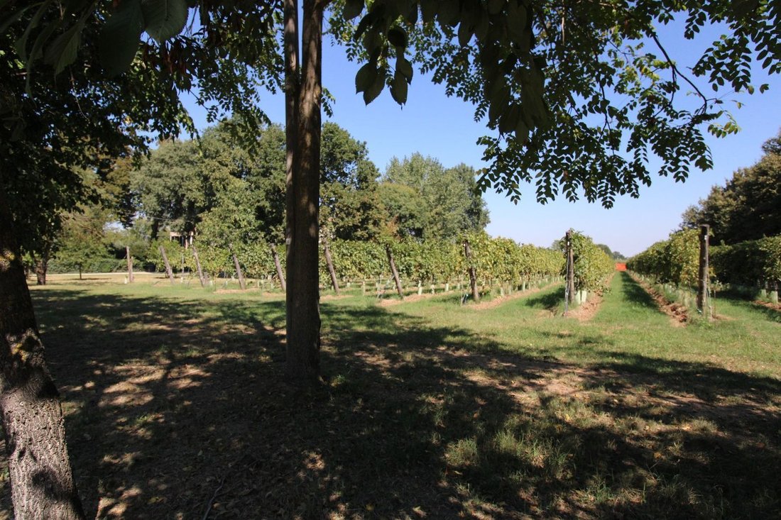 Casa di campagna a Cavriago, Emilia-Romagna, Italia 5 - 13731461