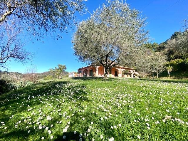 Villa in Olmo - Santa Caterina - Falcinello, Sarzana, Liguria 1 - 13731400