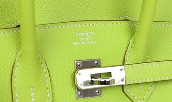 Pre-owned Hermès Birkin 25 Kiwi Candy Epsom Palladium Hardware