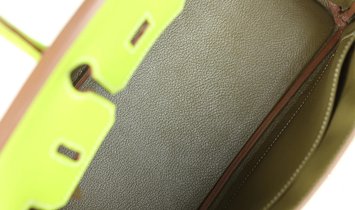Pre-owned Hermès Birkin 25 Kiwi Candy Epsom Palladium Hardware