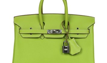 Pre-owned Hermès Birkin 25 Kiwi Candy Epsom Palladium Hardware