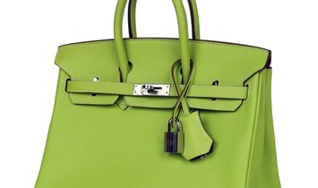 Pre-owned Hermès Birkin 25 Kiwi Candy Epsom Palladium Hardware