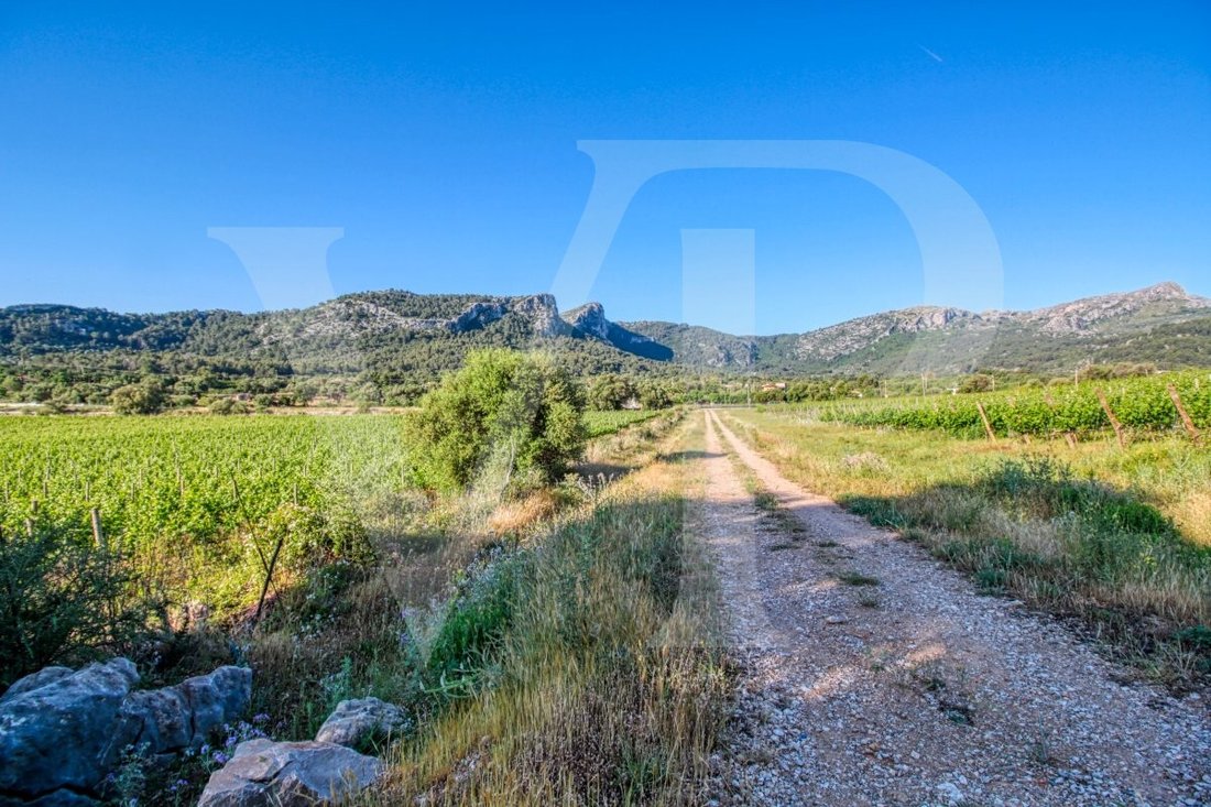 Land in Pollença, Balearische Inseln, Spanien 4 - 13734179