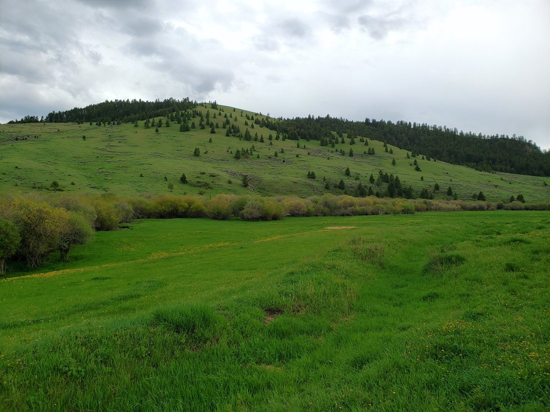 Expansive Montana Views On In White Sulphur Springs, Montana, United