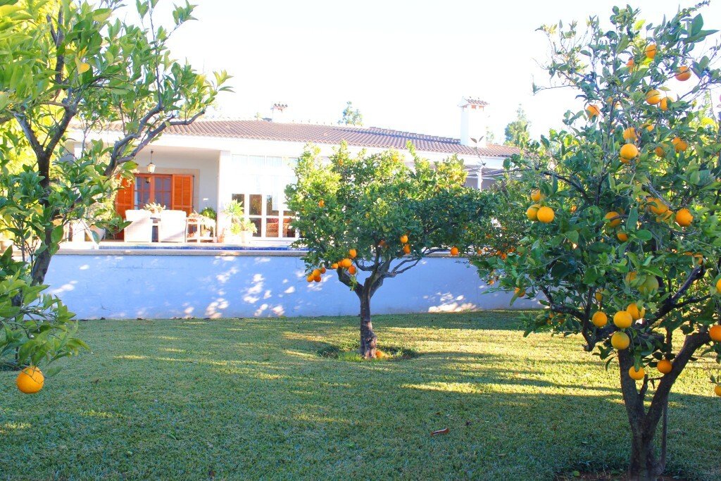 Villa in Bunyola, Balearic Islands, Spain 1 - 13738141