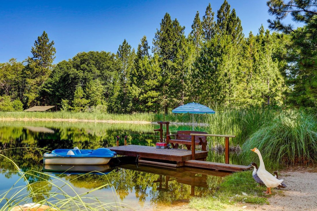 House in Grass Valley, California, United States 3 - 13112186
