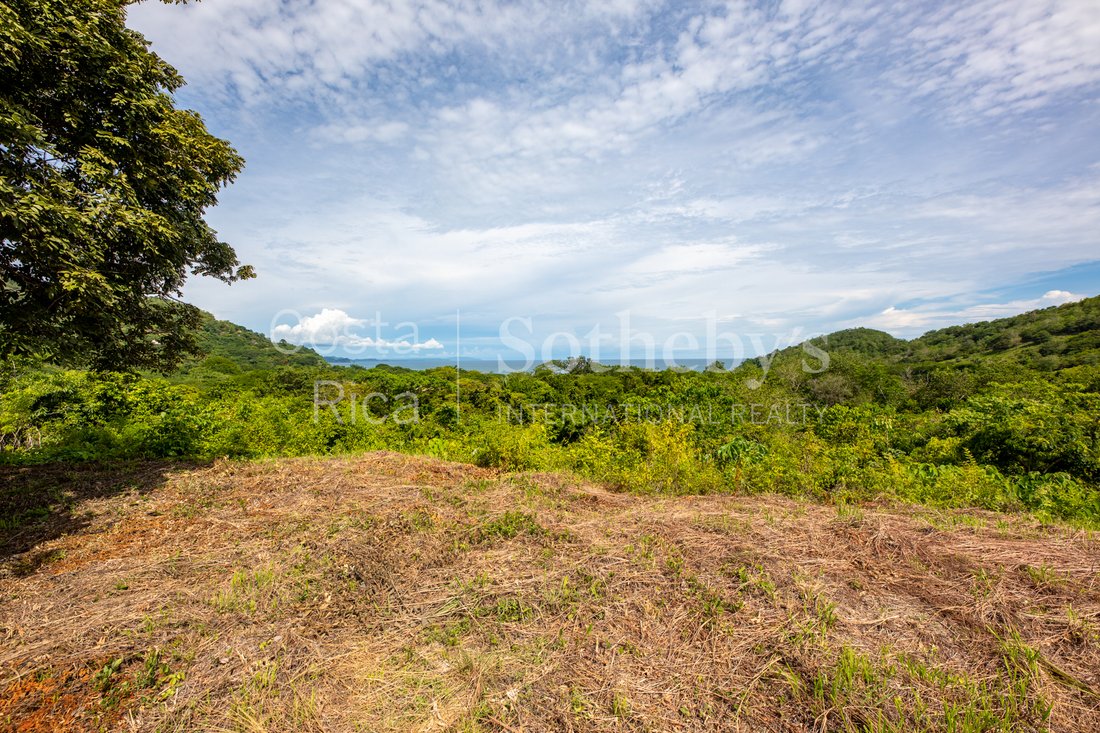 Land in Nosara, Nandayure, Costa Rica 4 - 13737844