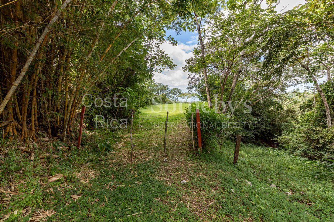 Land in Nosara, Nicoya, Costa Rica 5 - 13737848
