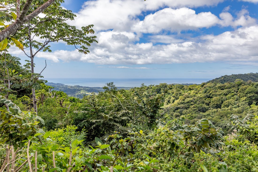 Land in Nosara, Nicoya, Costa Rica 1 - 13737848