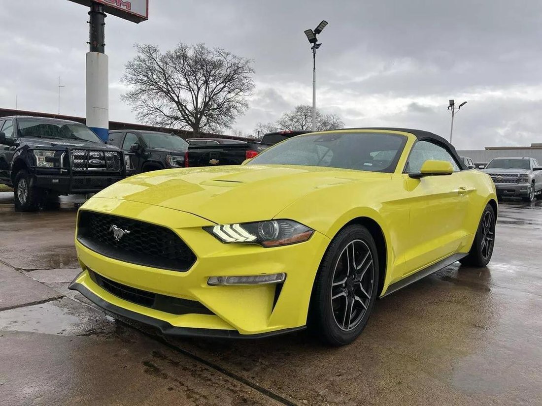 2021 Ford Mustang In Houston, Tx, United States For Sale (13740851)