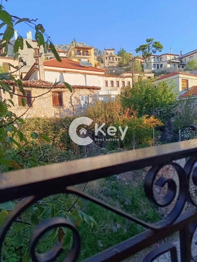 Arachova, Thessaly and Central Greece, Greece 5 - 13744922
