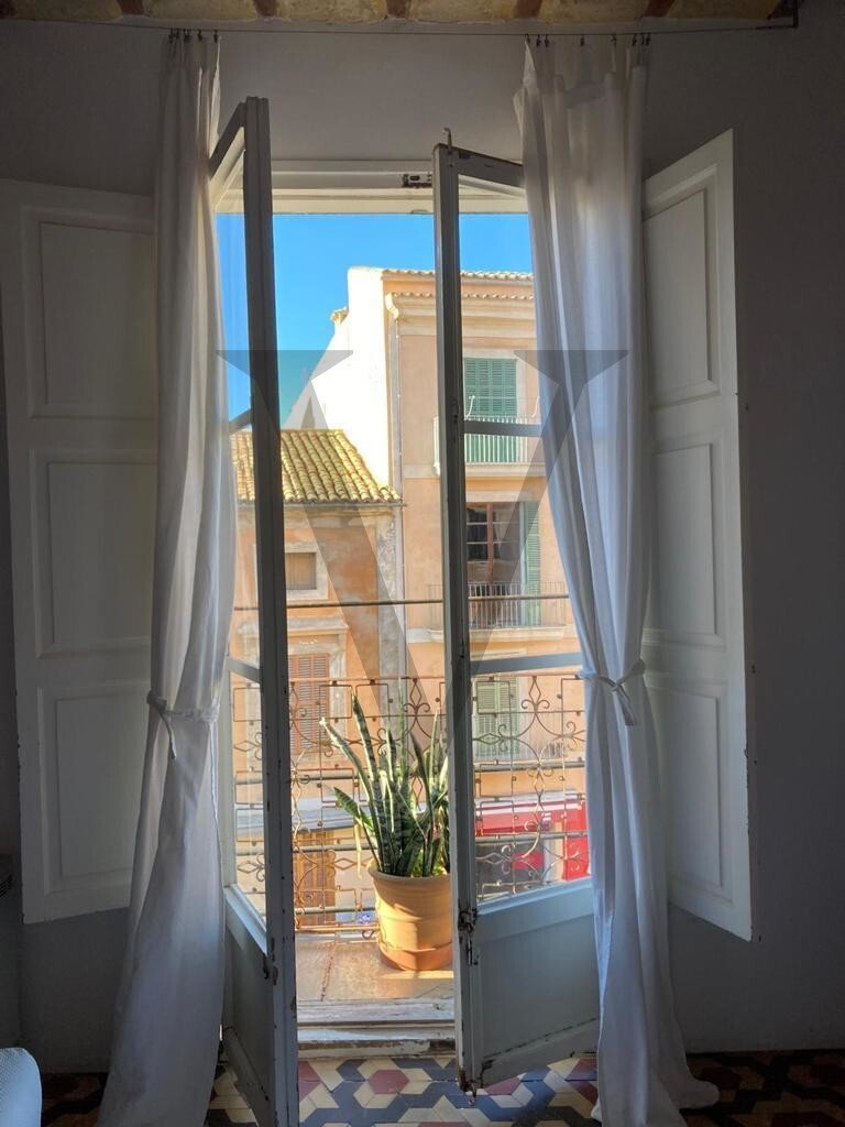 Apartment in Palma, Balearic Islands, Spain 4 - 13745028