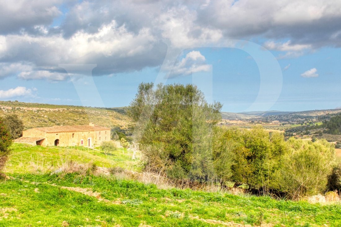 Haus in Manacor, Balearische Inseln, Spanien 4 - 13745312