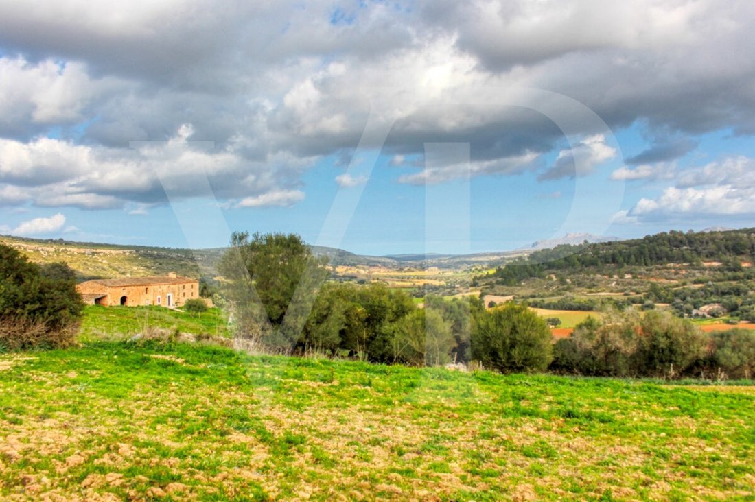 Haus in Manacor, Balearische Inseln, Spanien 5 - 13745312