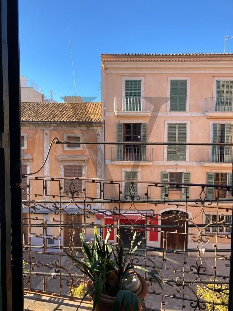 Apartment in Palma, Balearic Islands, Spain 1 - 13745028